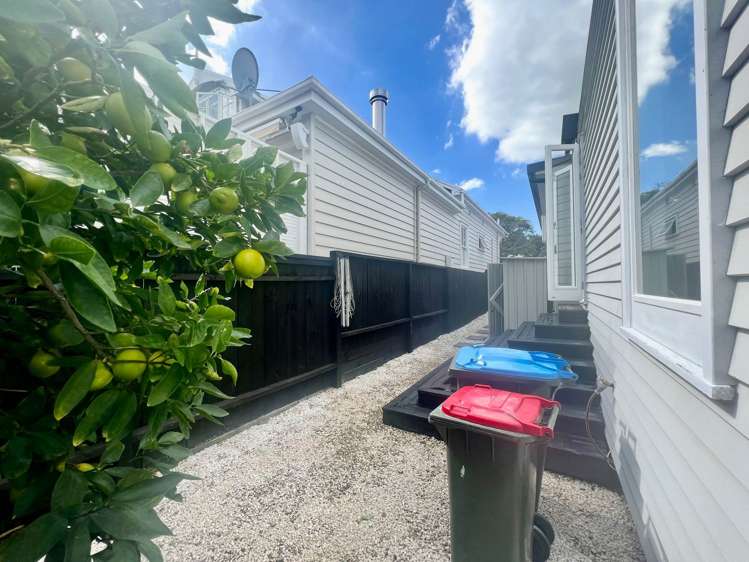 59 Albany Road Ponsonby_12