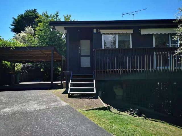 73A Ayton Drive Totara Vale_3