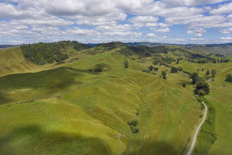 510 Barclay Road Aria_5