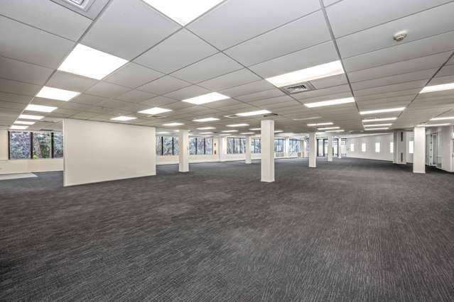 15 Sultan Street Greenlane_2