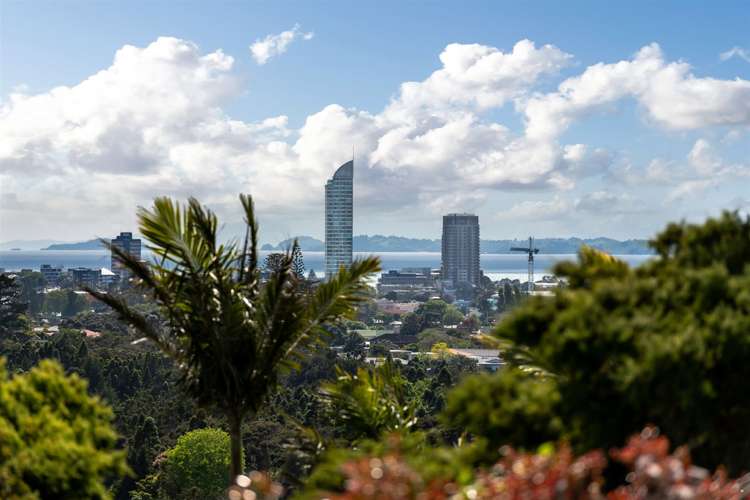 1/17a Zion Road Birkenhead_7