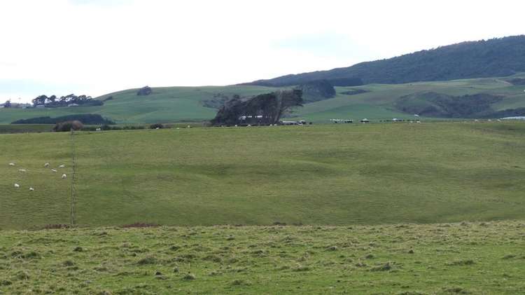 13 Denbigh Street Orepuki_9