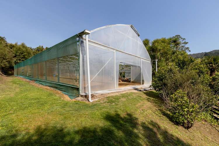 286a Woodland Road Katikati_14