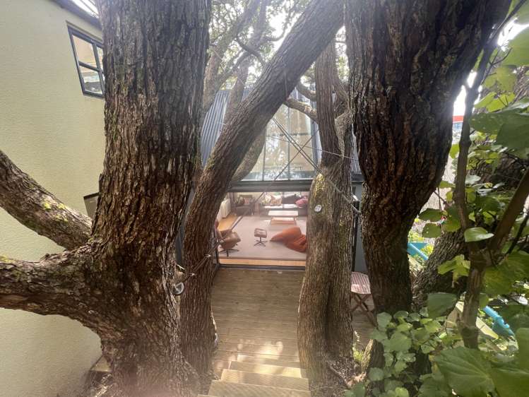 19 Everton Terrace Kelburn_7