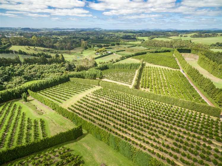 517 Kerikeri Road Kerikeri_7