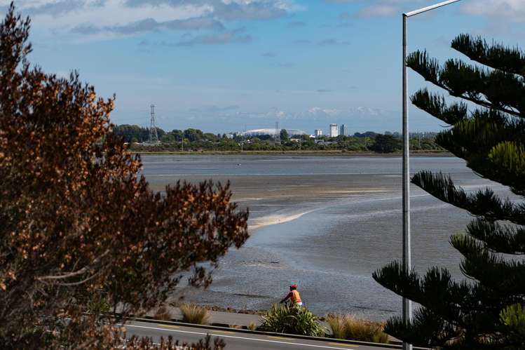 2/1 The Brae Mt Pleasant_33