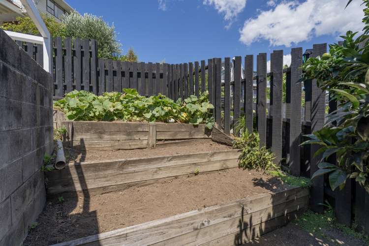 14 Pine Grove Tairua_42