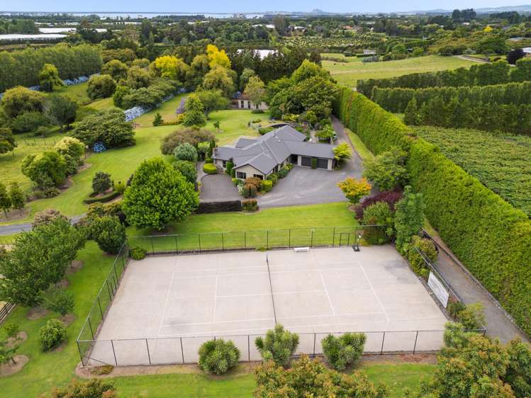 58 Rawaka Drive Katikati_5