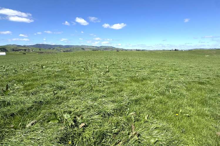 204 Mangatutu Road RD2 Maihiihi_10