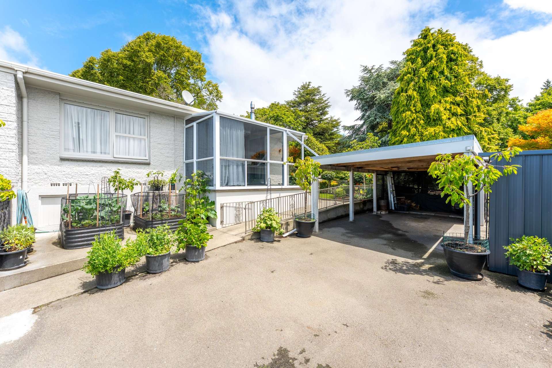 5/24 Beverley Hill Maori Hill_0