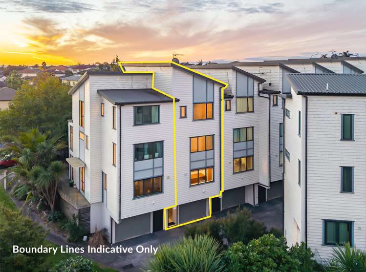 299 Murphys Road Flat Bush_12
