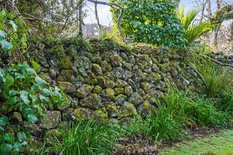 56 Forest View Road Kamo_33