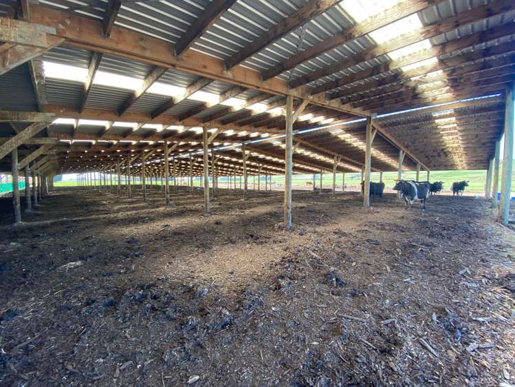 453 Mataura Island Road Wyndham Surrounds_10