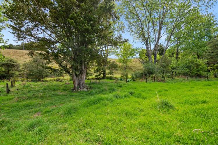 293 Kaiikanui Road Hukerenui and Surrounds_15