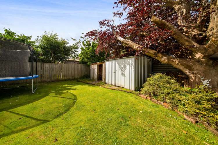55 Camberwell Road Hawera_21