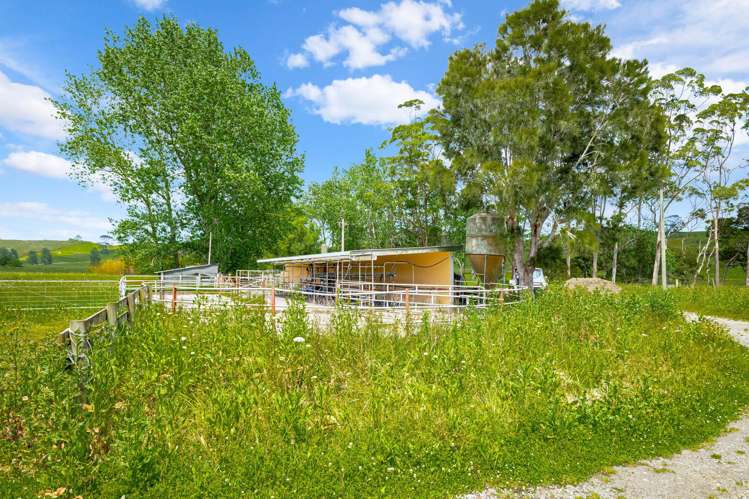 515 Kahikatea Flat Road Waitoki_22