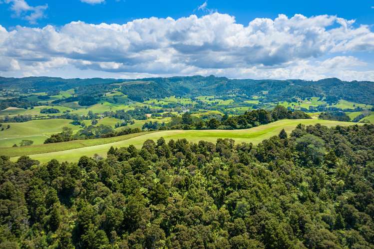 68B Ward Road Matakana_7