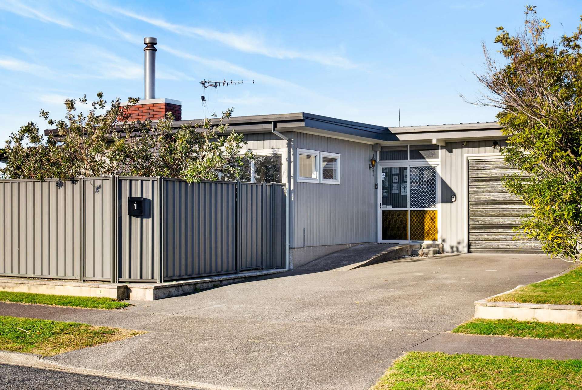 1 Arney Street Tamatea_0