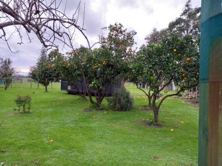 6835 State Highway 12 Turiwiri_34