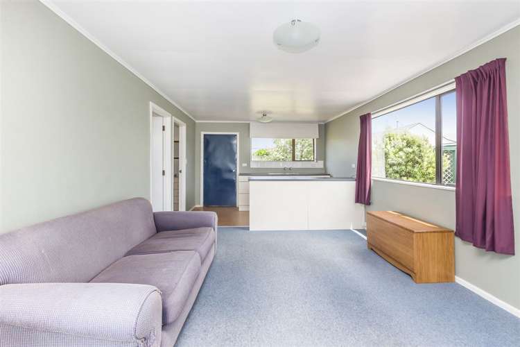 74 Rotherham Terrace Miramar_17