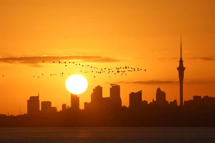 8 Kawai Rise Te Atatu Peninsula_5