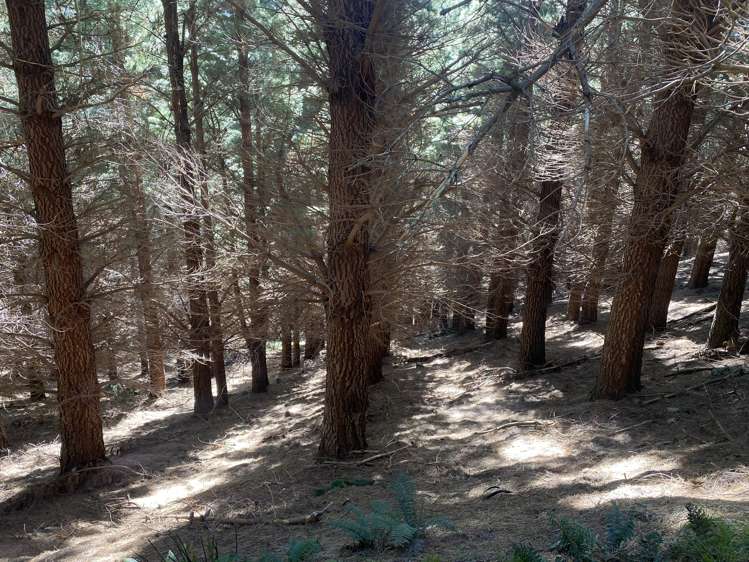 245 Sladdens Bush Road Oxford_16