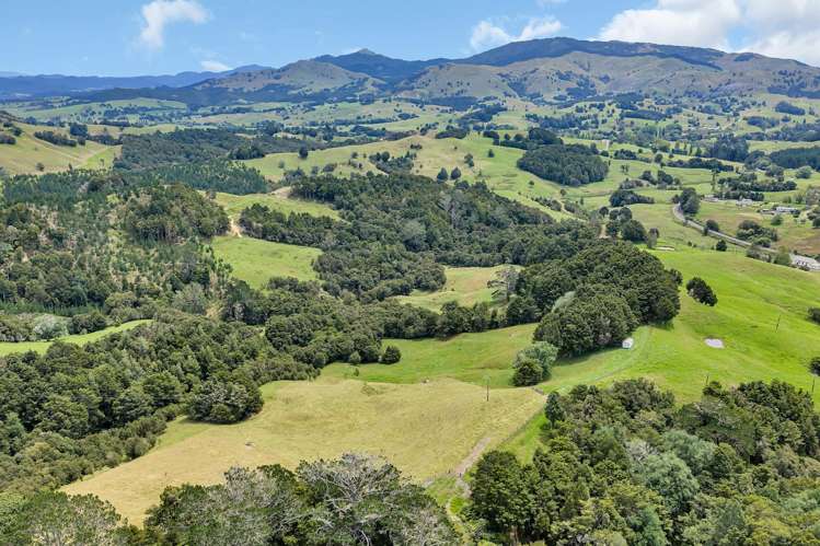 Pipiwai Road Purua_19