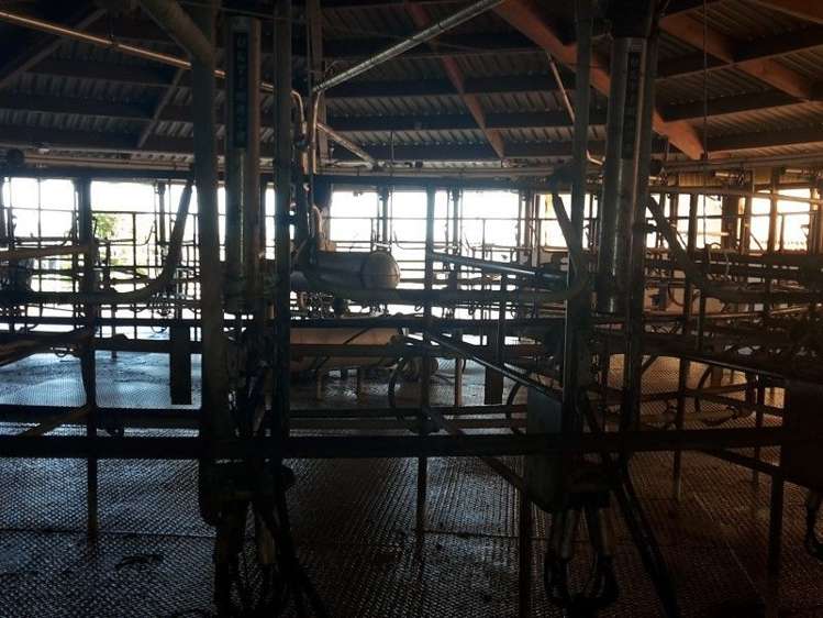 346 Rugby Road Tariki_49