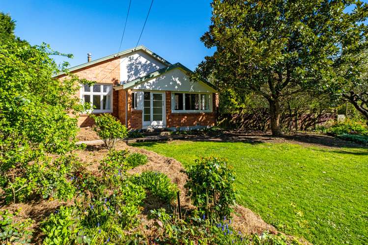 99 Templer Street Geraldine_1