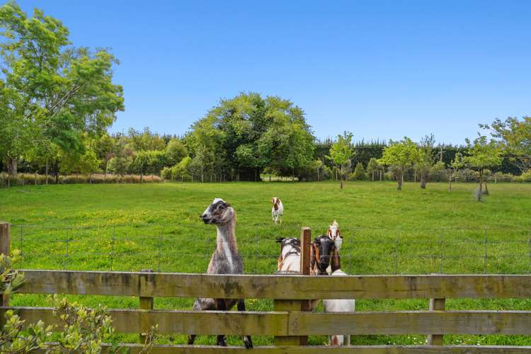 123 Goodericks Road Lincoln_24