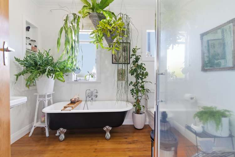 15A Chaytor Street Te Puke_12