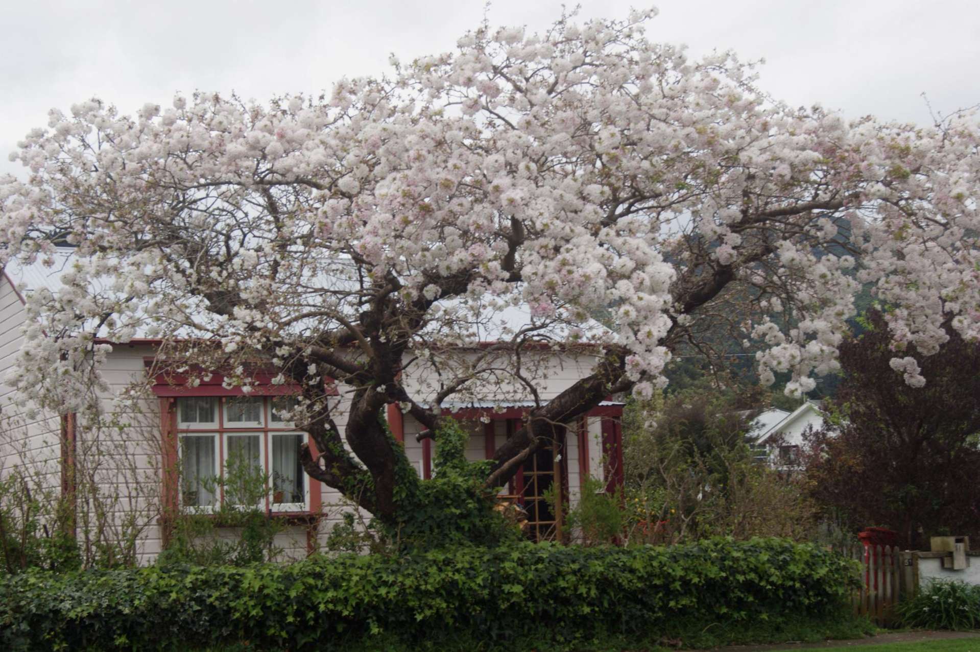 51 Wakefield Street Featherston_0