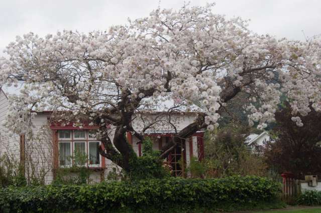 Lovingly restored character cottage