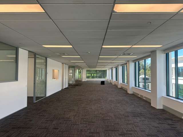 101 Carlton Gore Road Newmarket_2