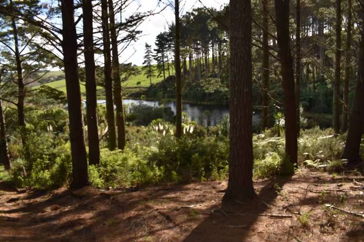 136 Valley Road Waitoki_9