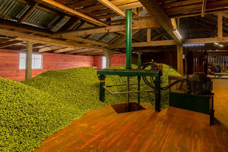 695 Wakefield-Kohatu Highway Wakefield_12