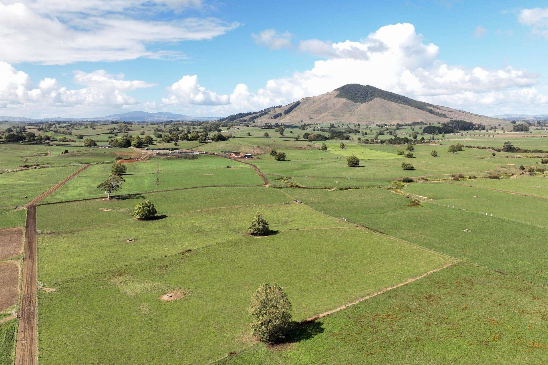 229 Candy Road Te Awamutu_0