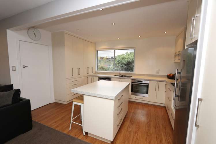 74 Harrison Street Allenton_3