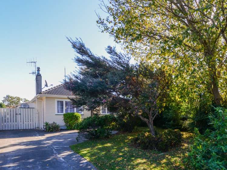 27 Hillary Crescent Maraenui_8