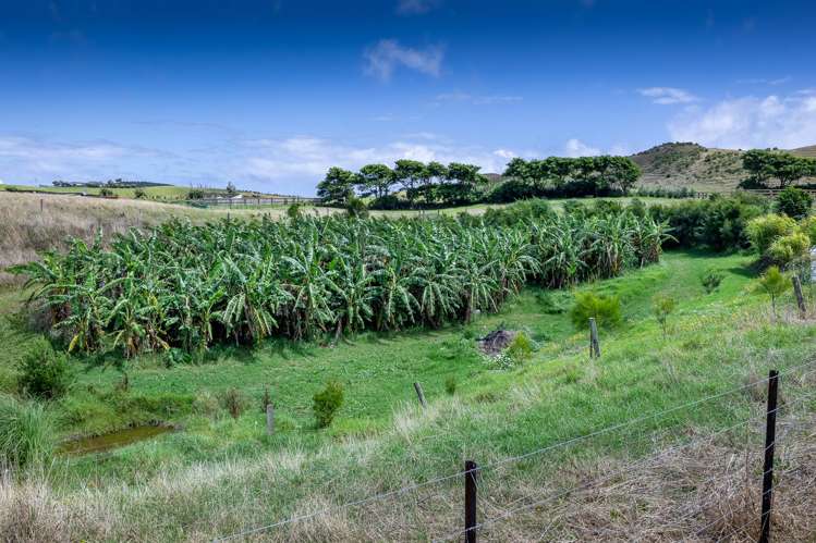 410 Mahuta Road Mahuta_16