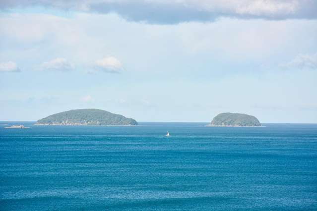 20 Tairua Terrace Tairua_3