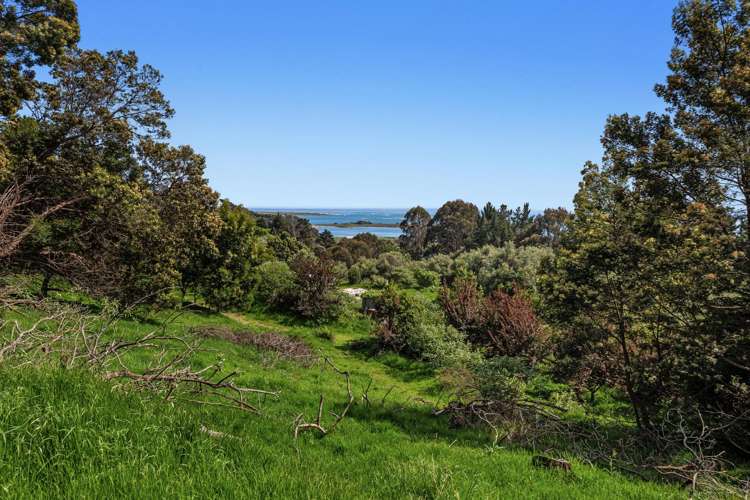 93 Loop Road Ohiwa_9