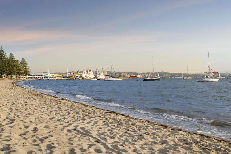 3a Grace Avenue Mount Maunganui_10