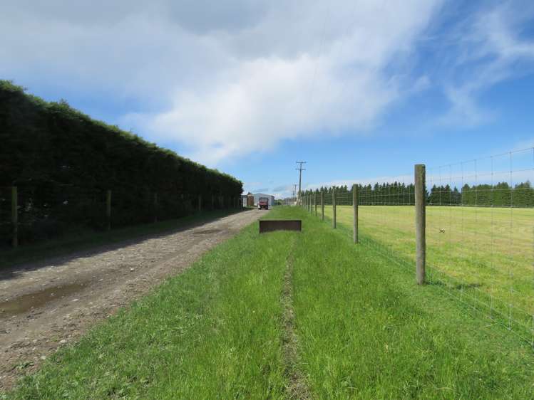 146 Elgin Road Elgin_6