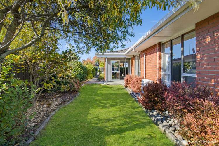 4 Manor Place Redwoodtown_19