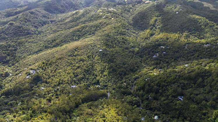 62 Lone Kauri Road Karekare_6