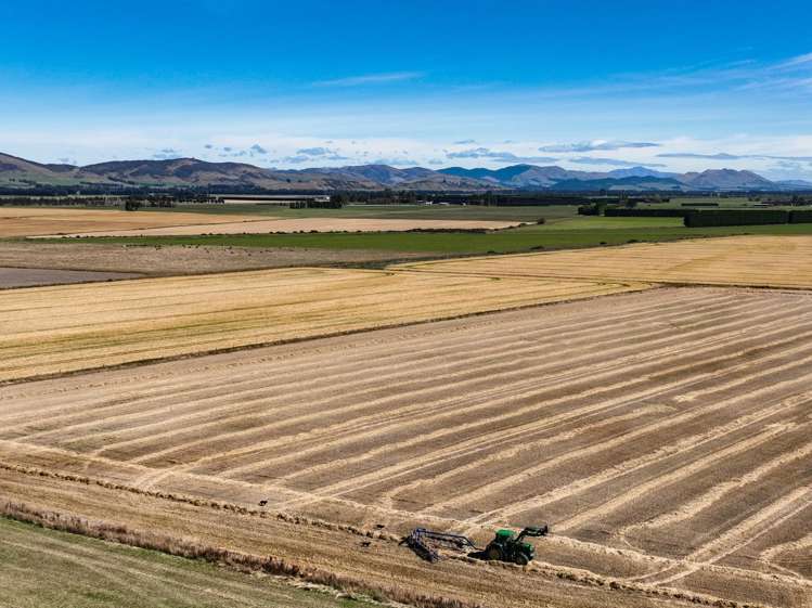 486 Steffan Road St Patricks_13