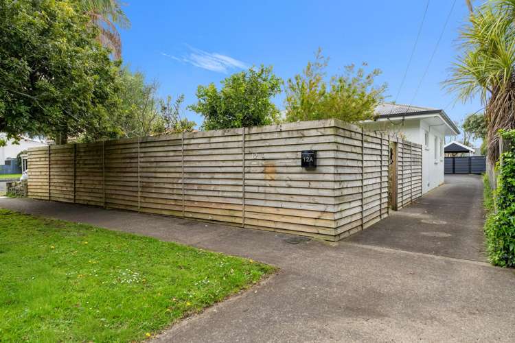 12 Sutherland Road Mount Albert_11