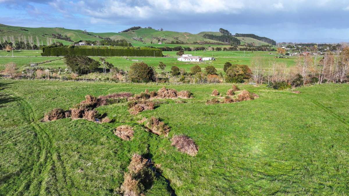 131 Puriri Valley Road_5