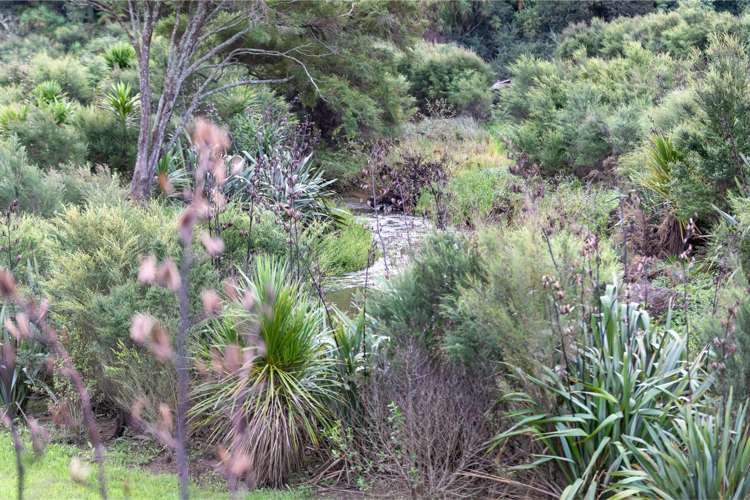 4 Tuputupu Drive Kumeu_16